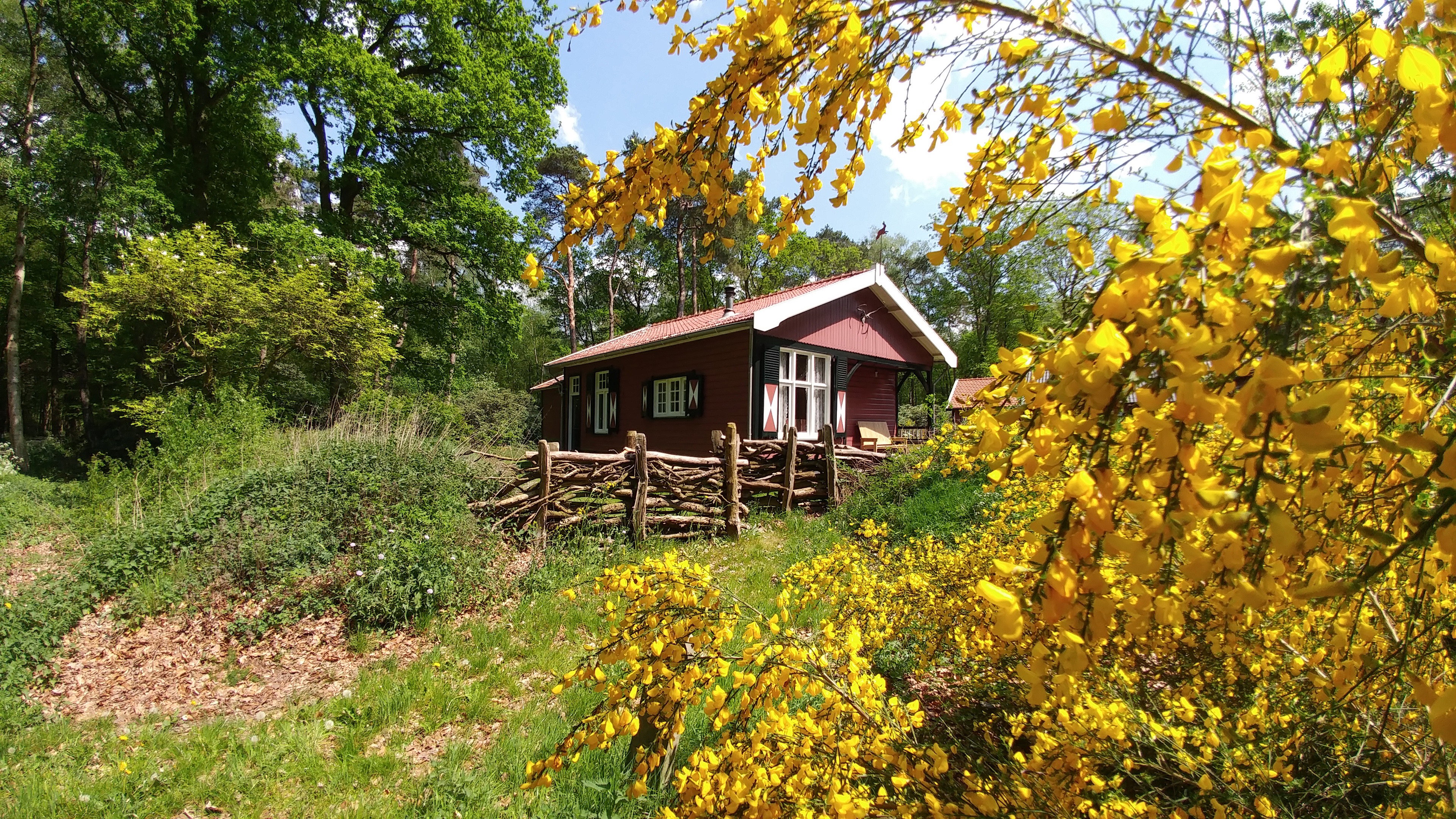 Maison nature à Okkenbroek