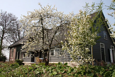 Maison nature à Weesp