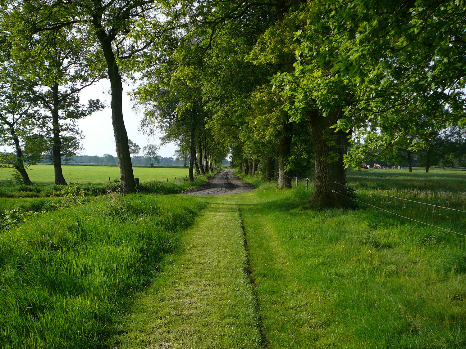 Naturhäuschen in Zevenhuizen