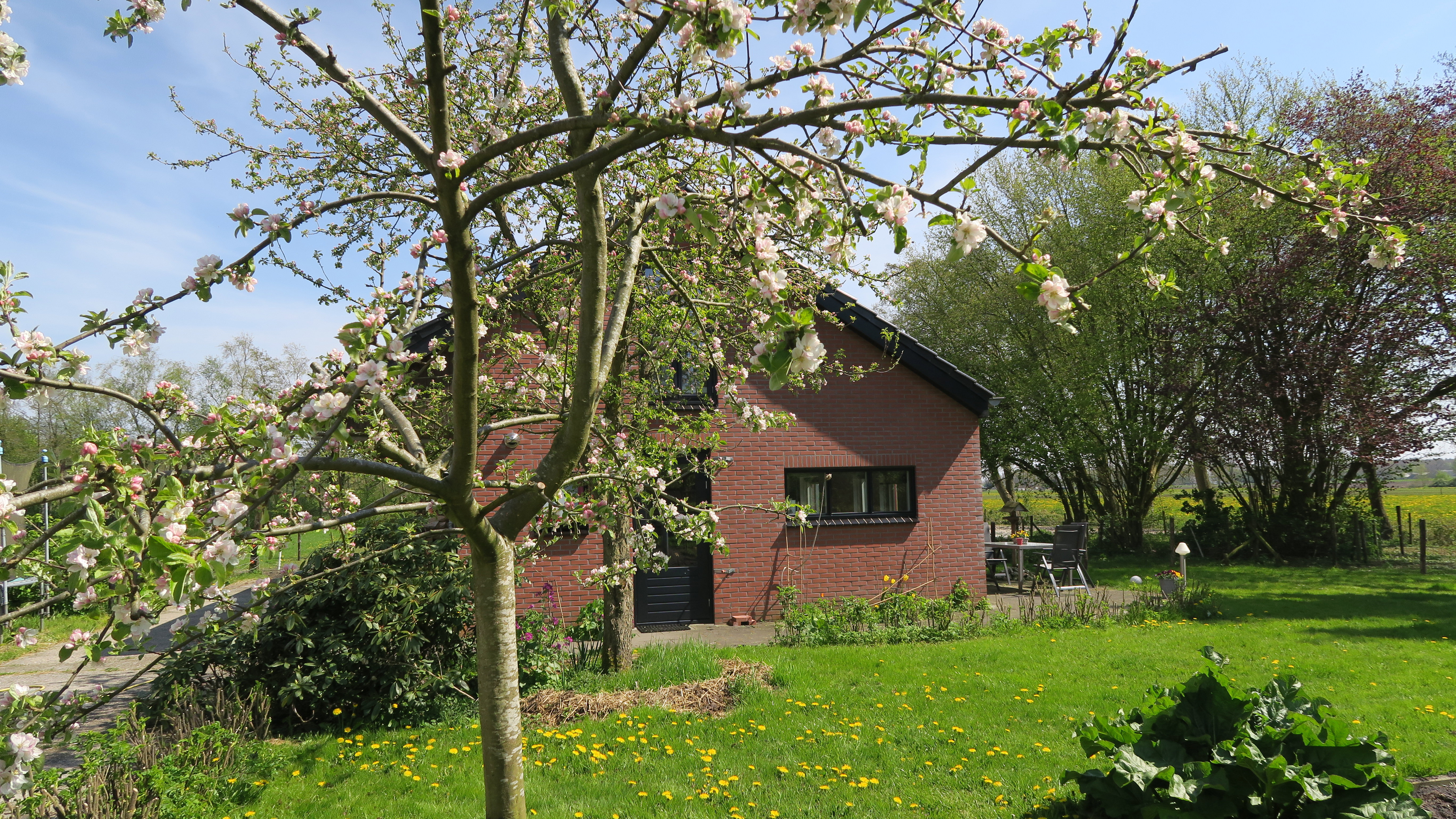 Naturhäuschen in Zevenhuizen
