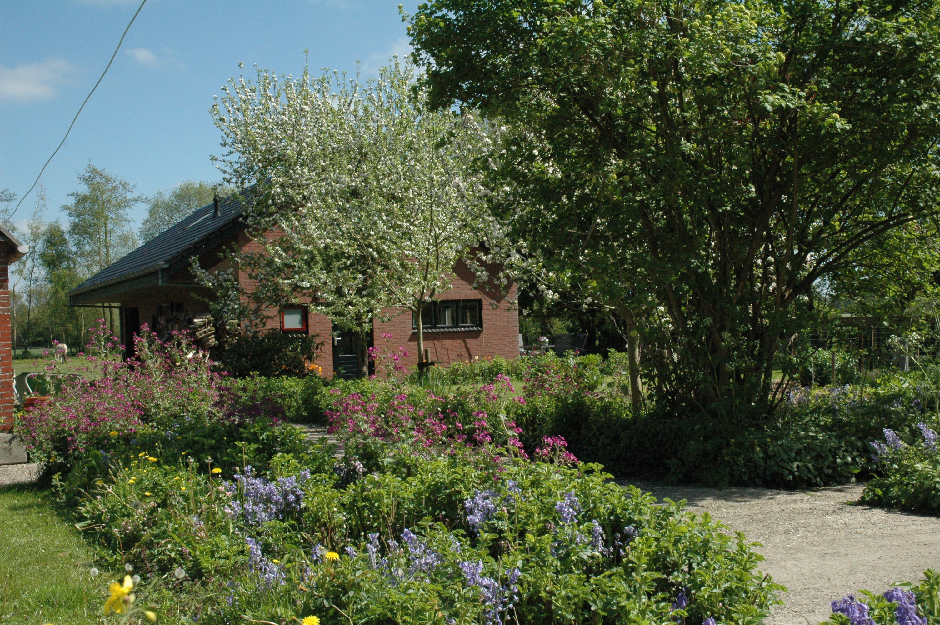 Naturhäuschen in Zevenhuizen