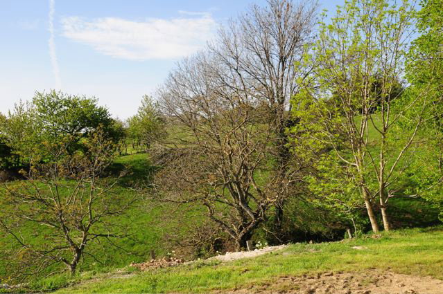- image: 29