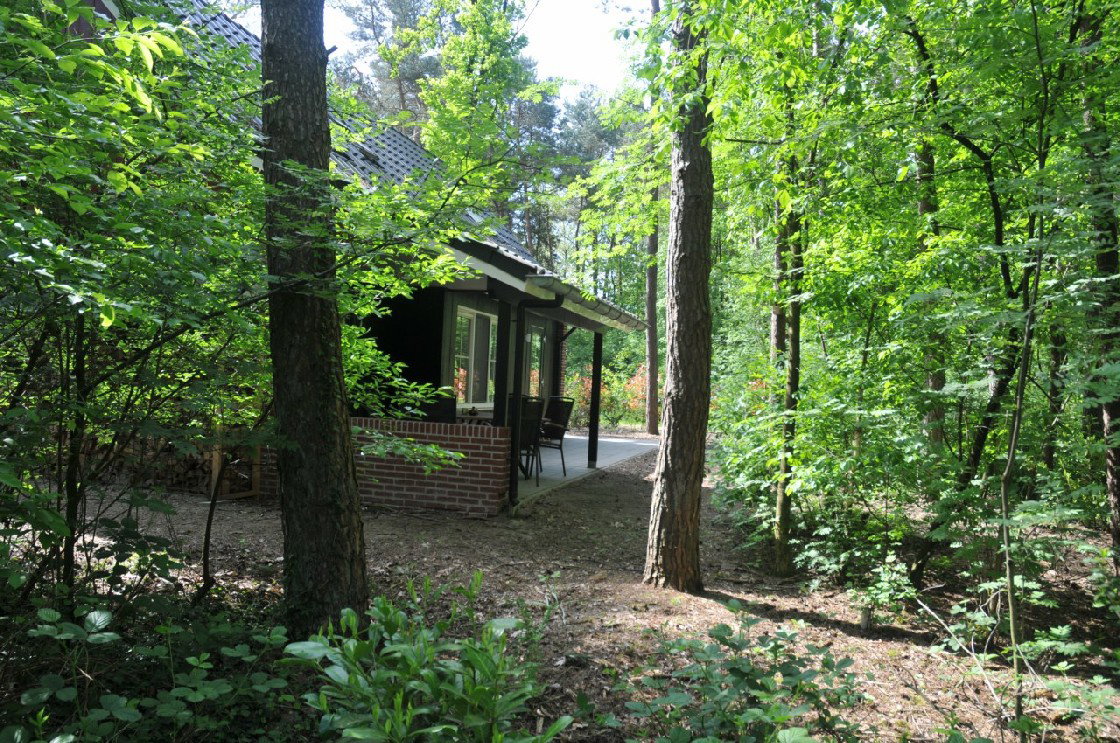 Naturhäuschen in Winterswijk