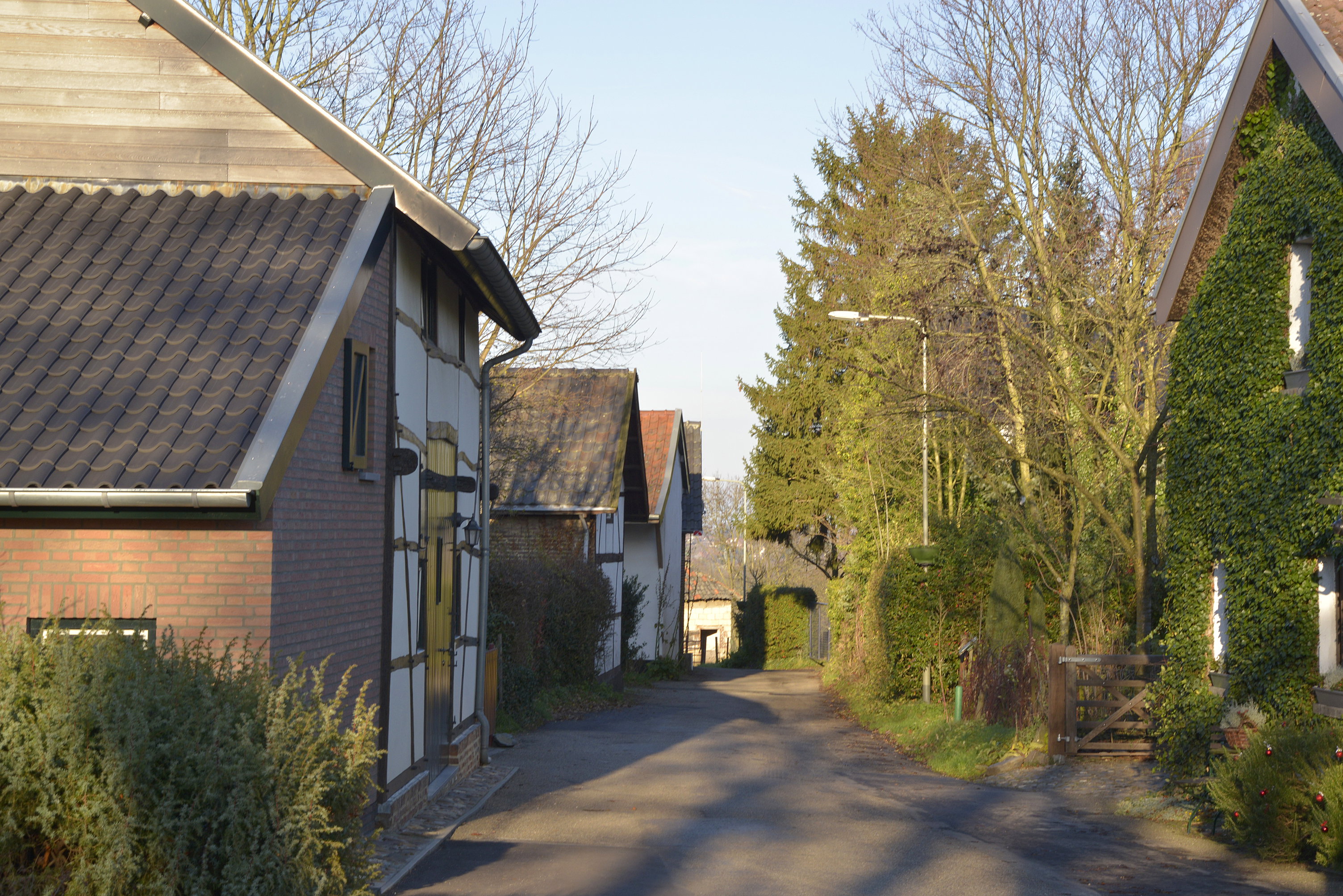 - image: 21