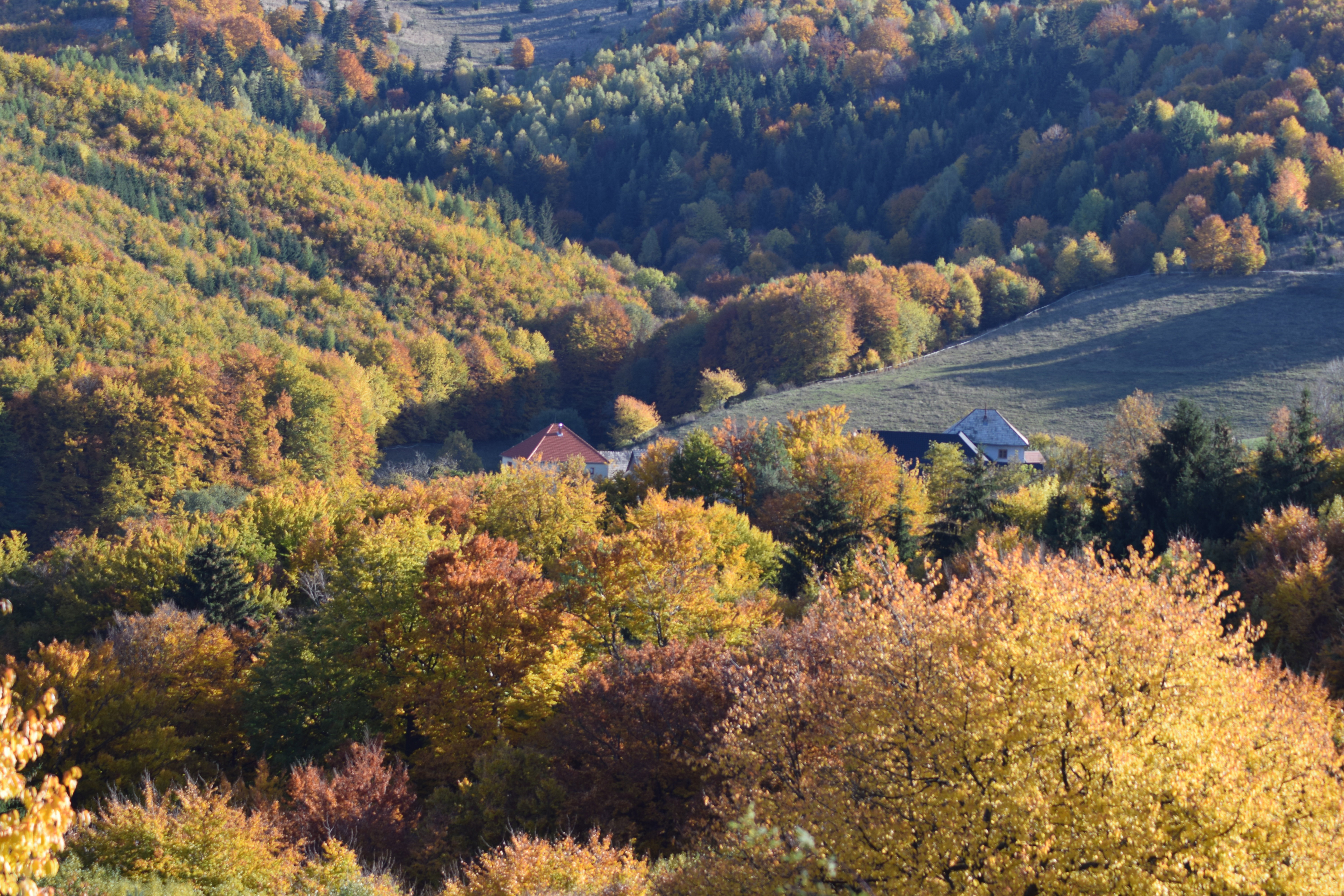 Naturhäuschen in Zvolen - Kralova