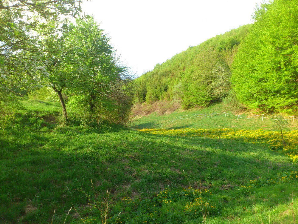 - image: 23