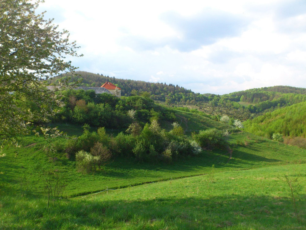 - image: 21