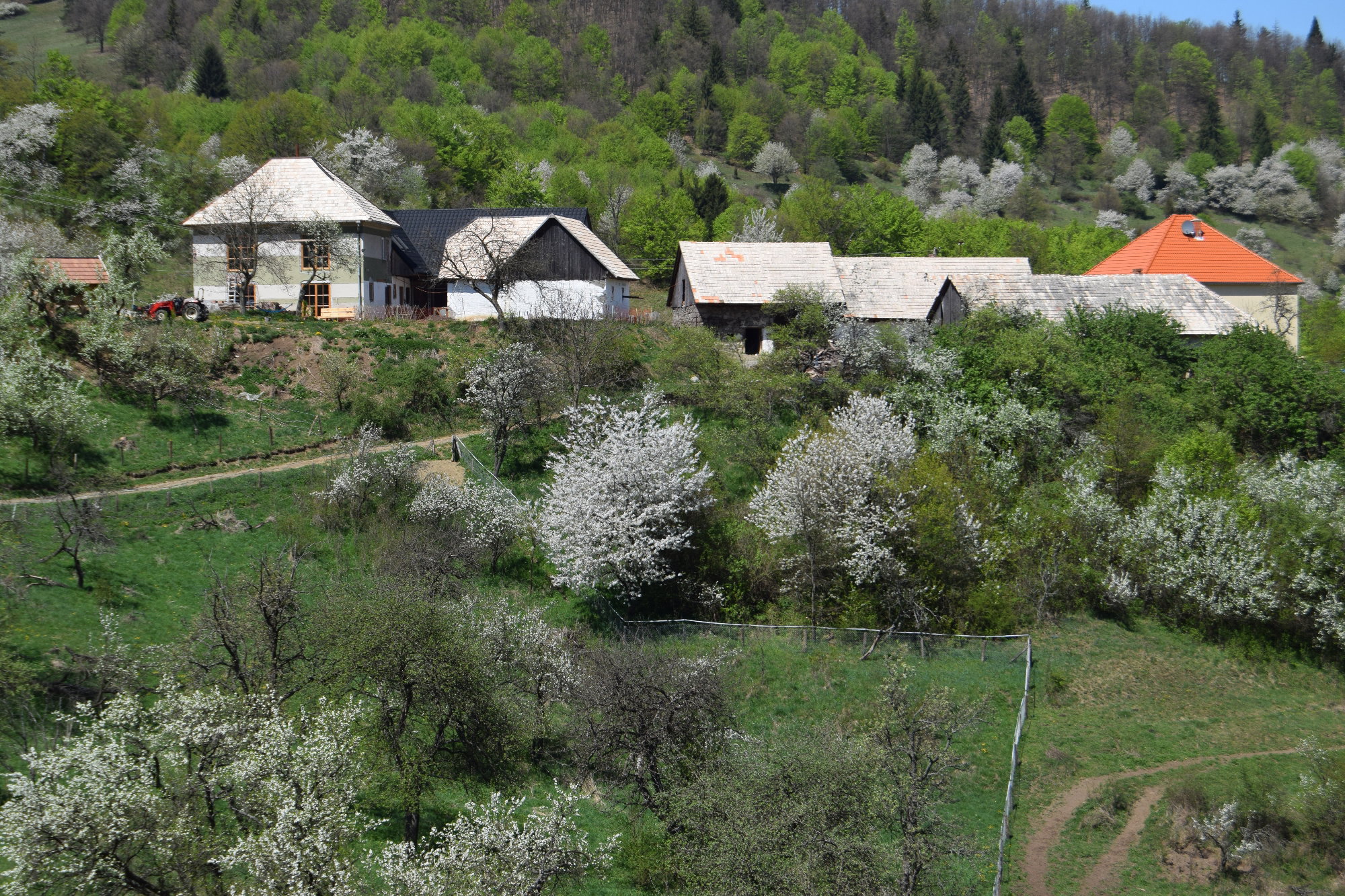 Naturhäuschen in Zvolen - Kralova