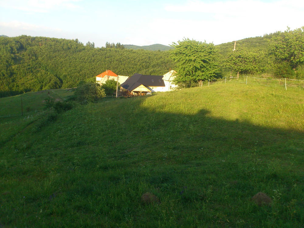 - image: 15