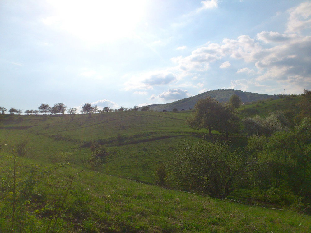 - image: 22