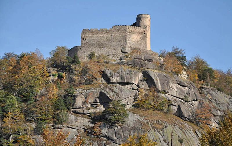 - image: 11