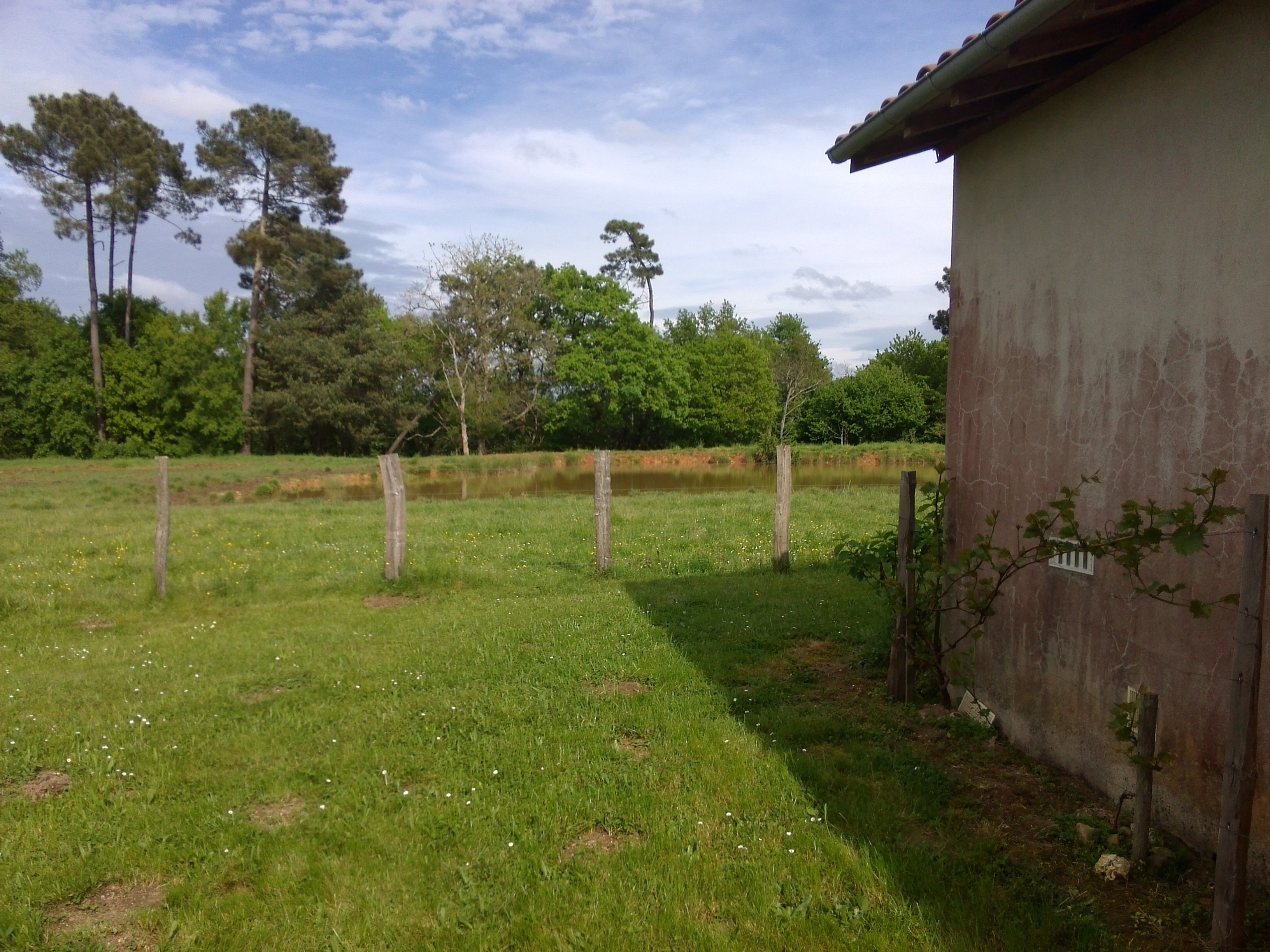 - image: 11