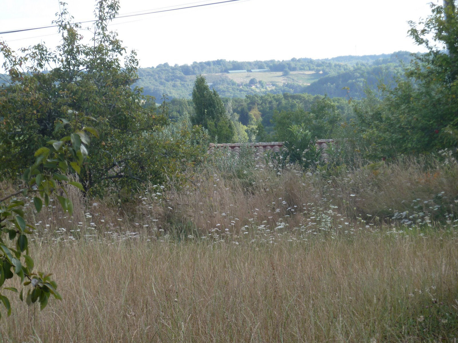 - image: 12