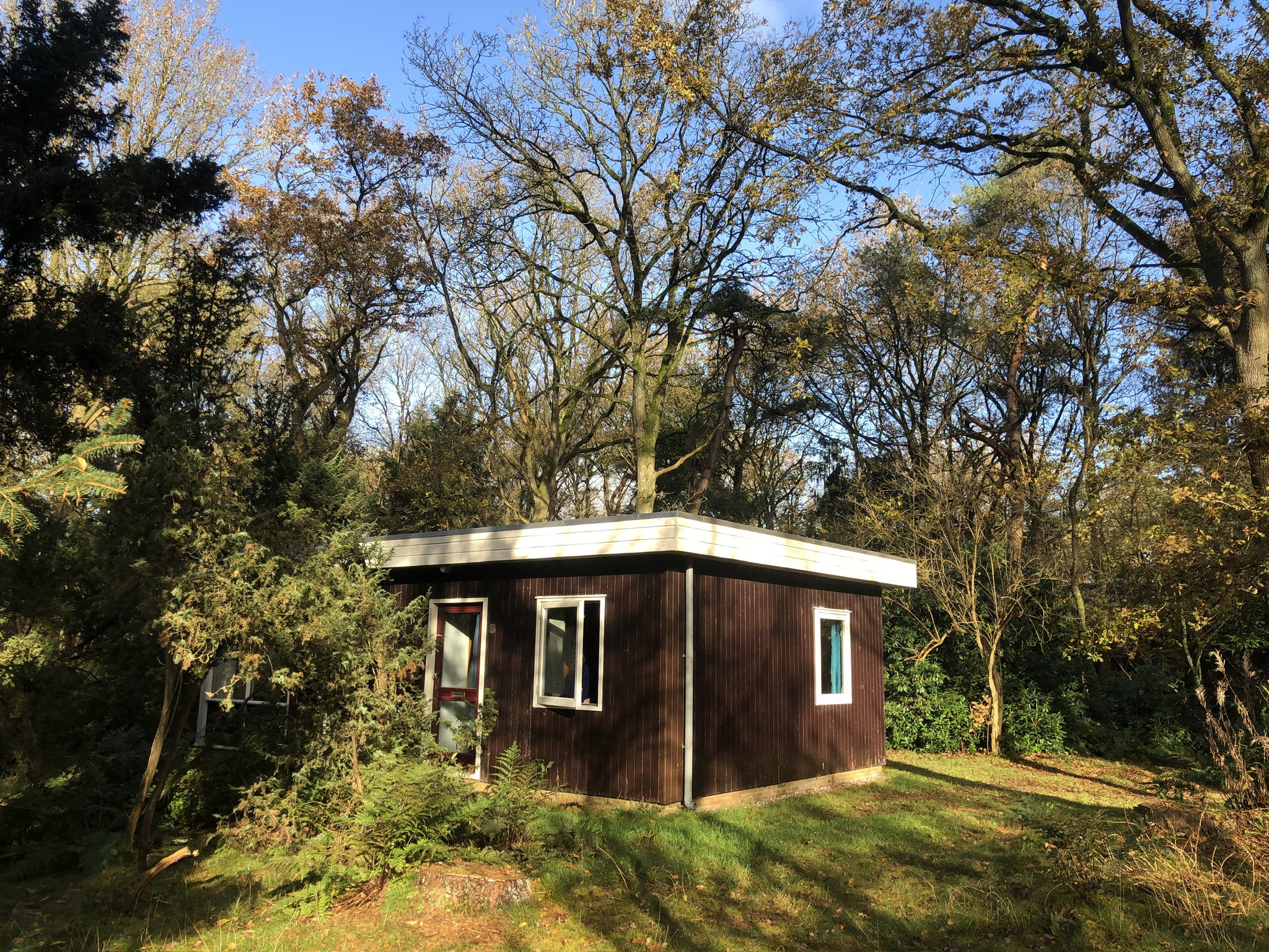 Casa nella natura a Meppen