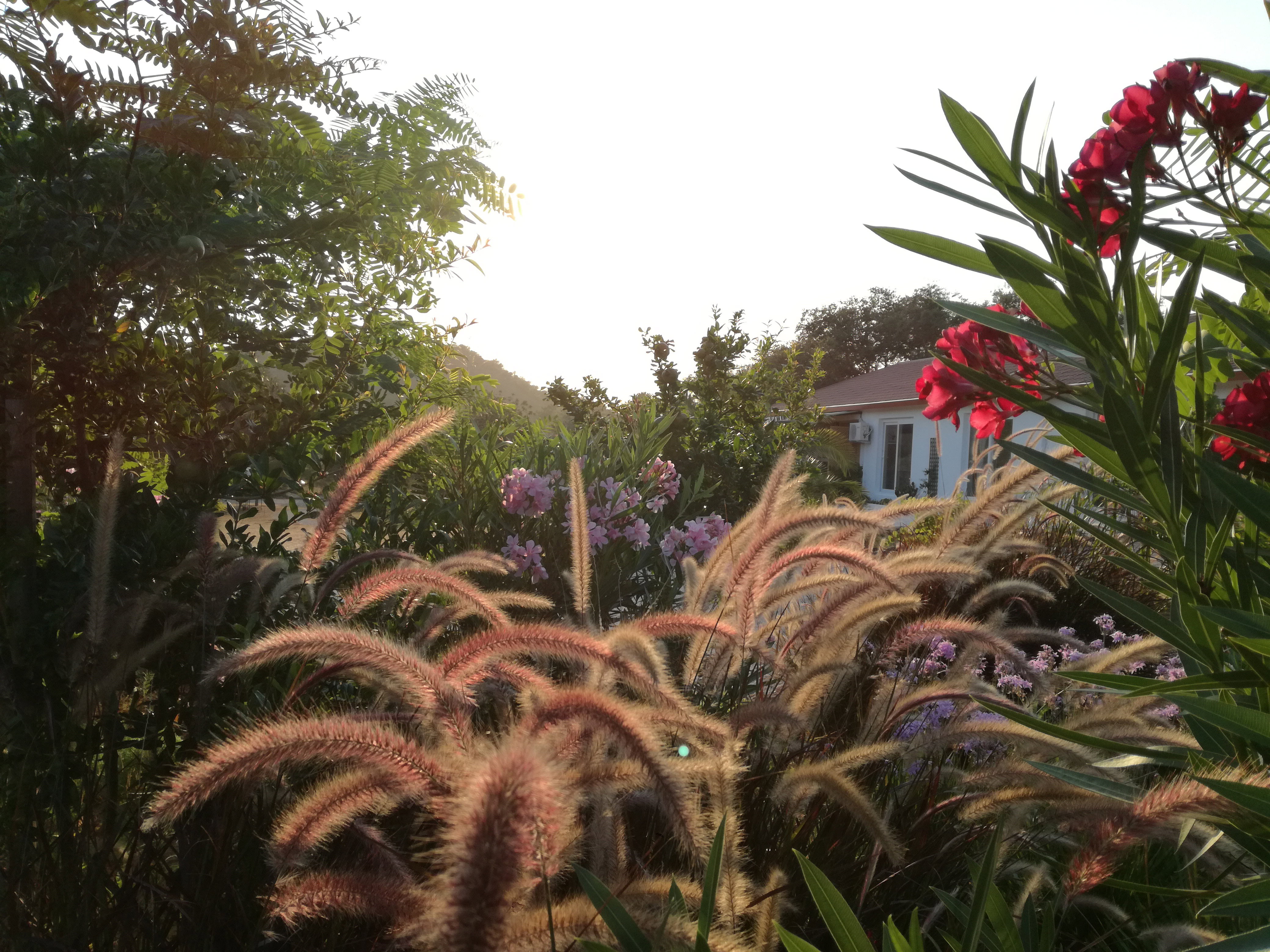 Casa nella natura a Querença