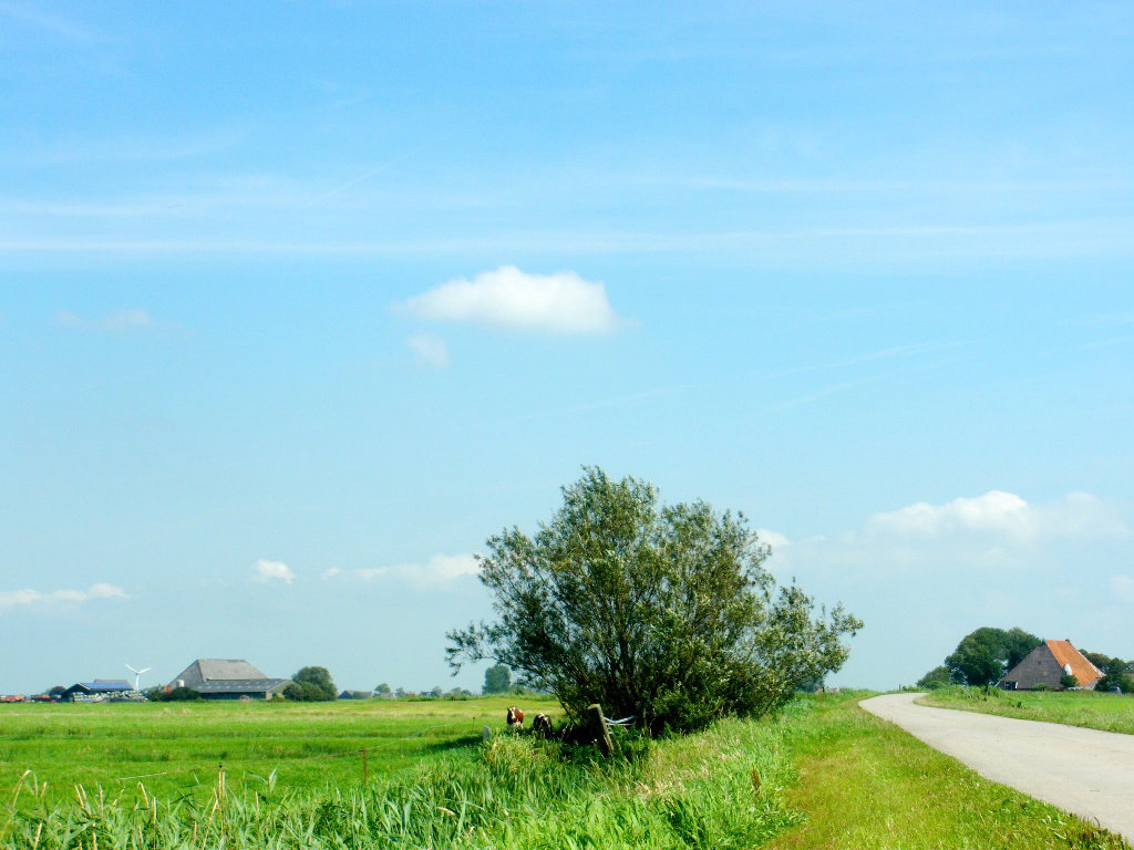 - image: 29