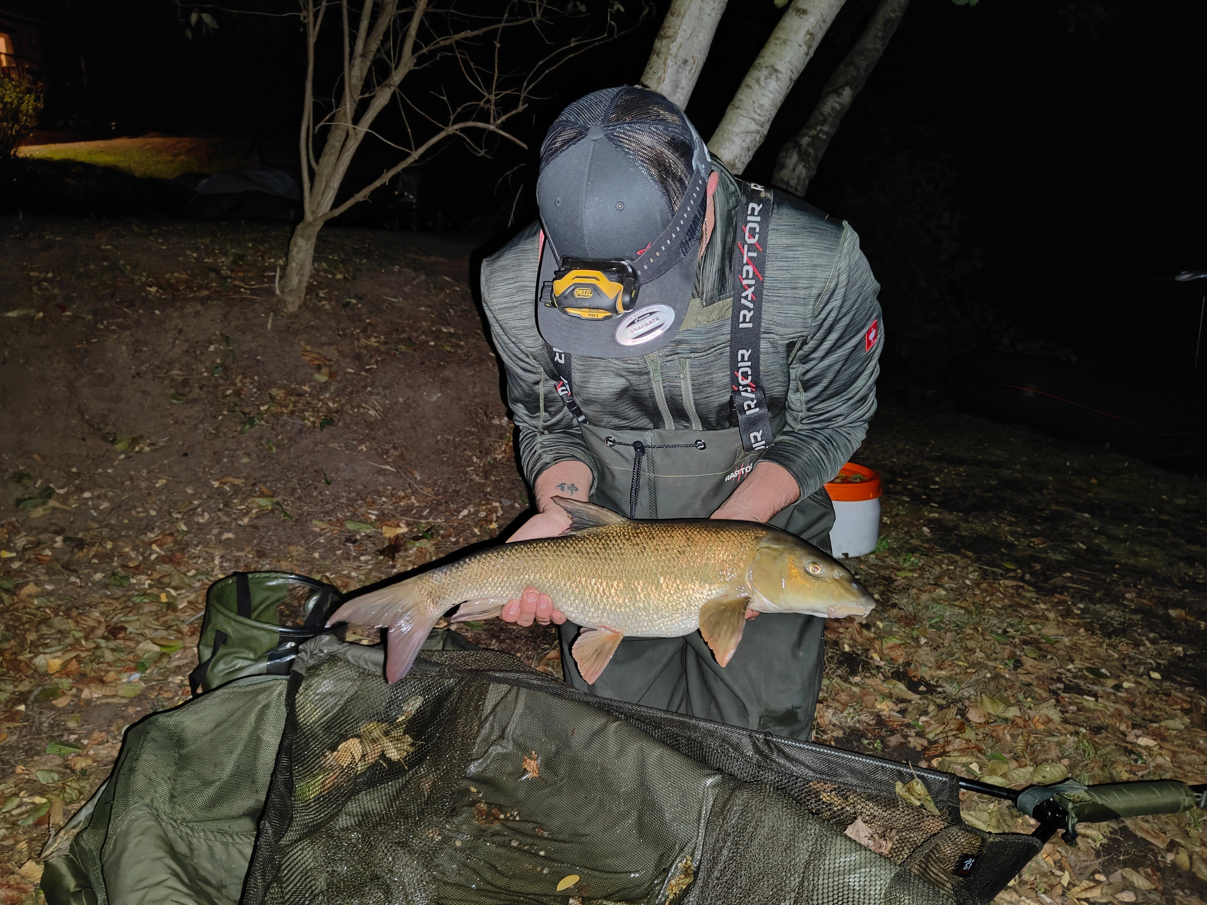 - image: 28
