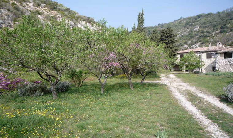 - image: 29