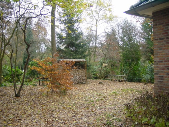 - image: 12