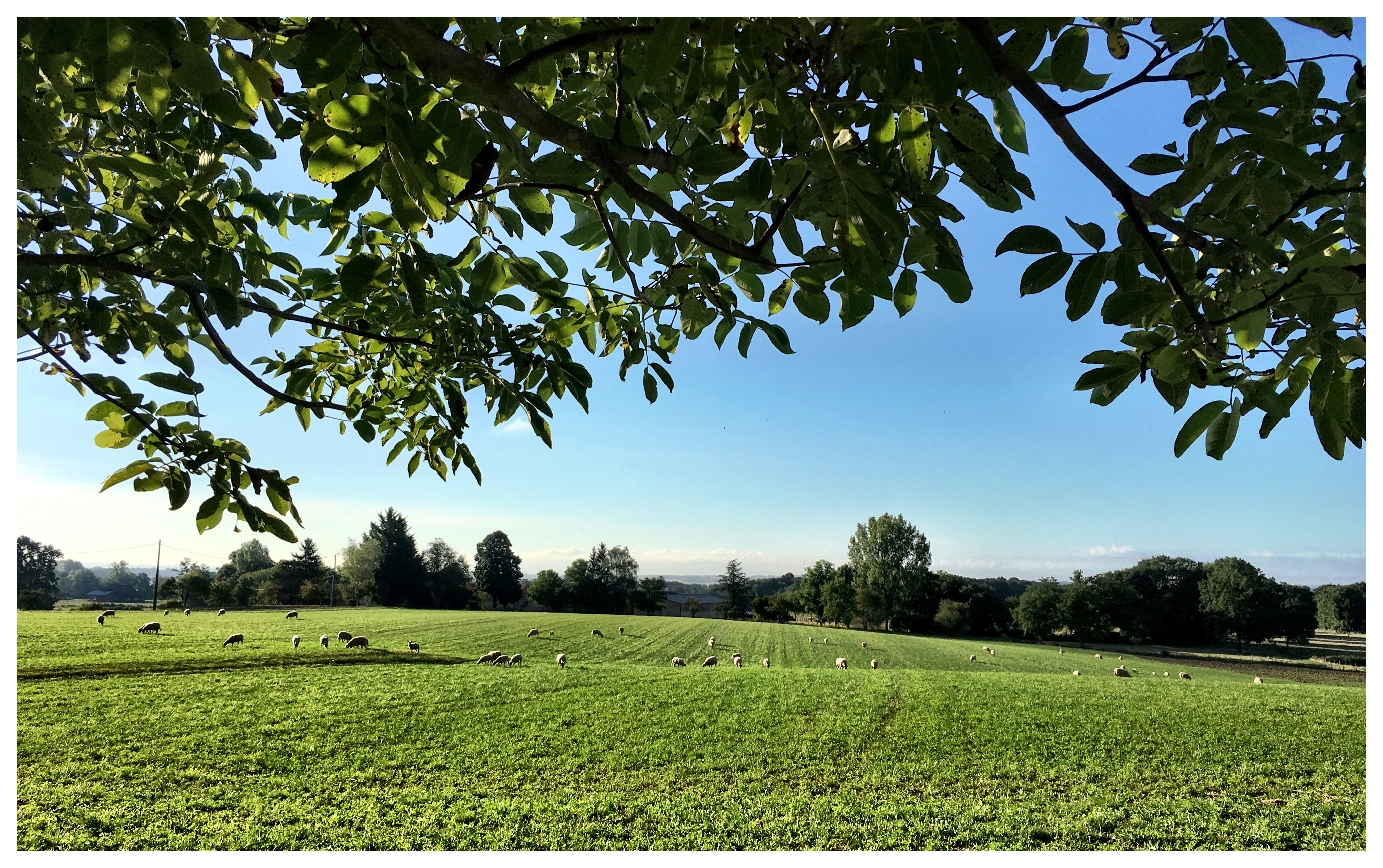 Maison nature à Treteau