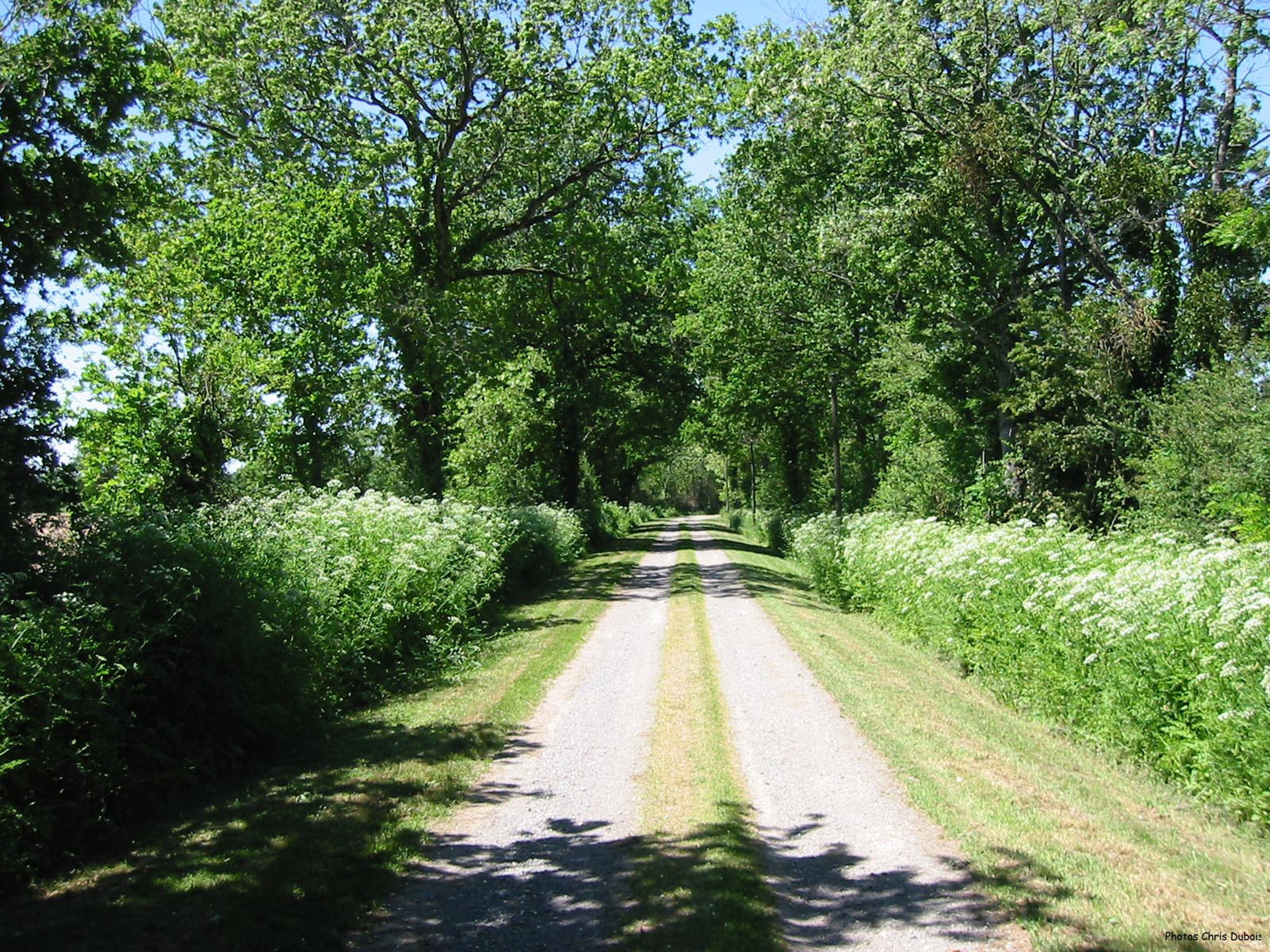- image: 27