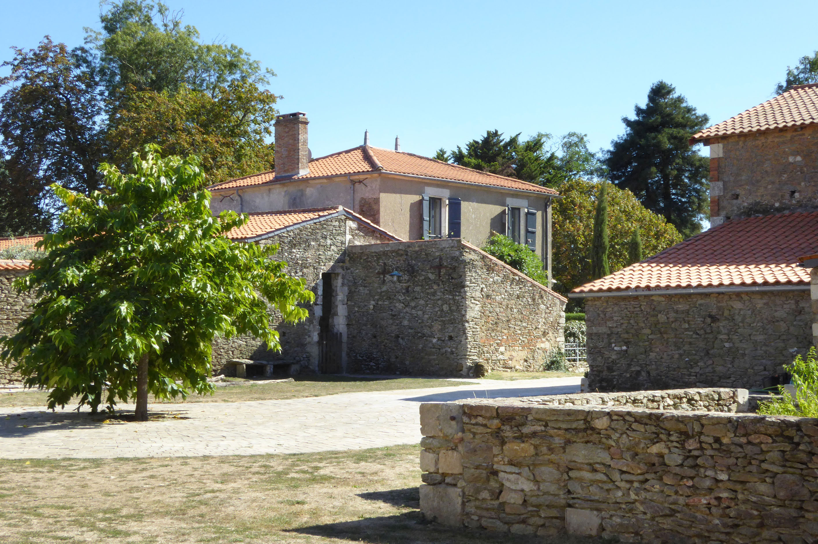 - image: 16
