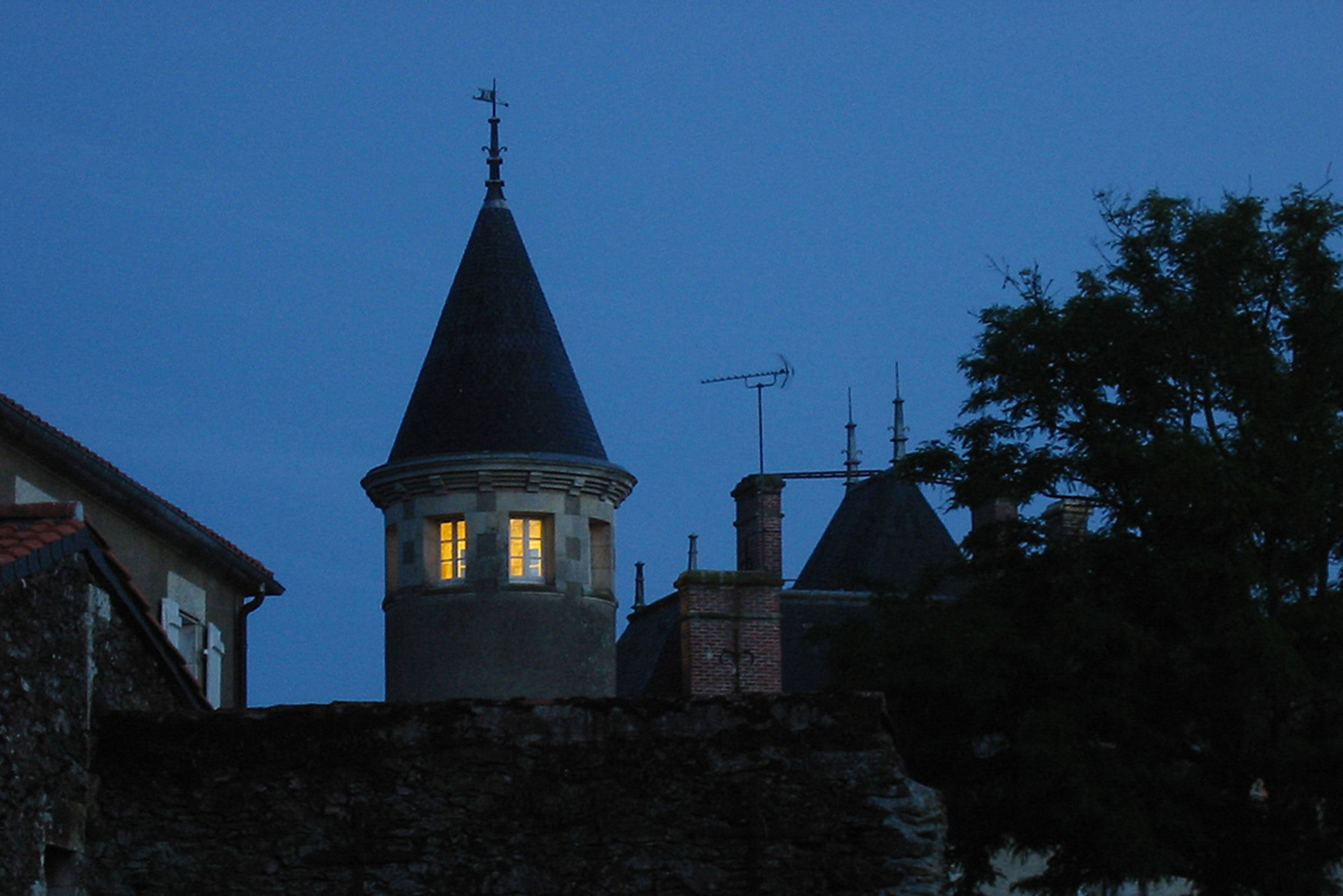 - image: 24
