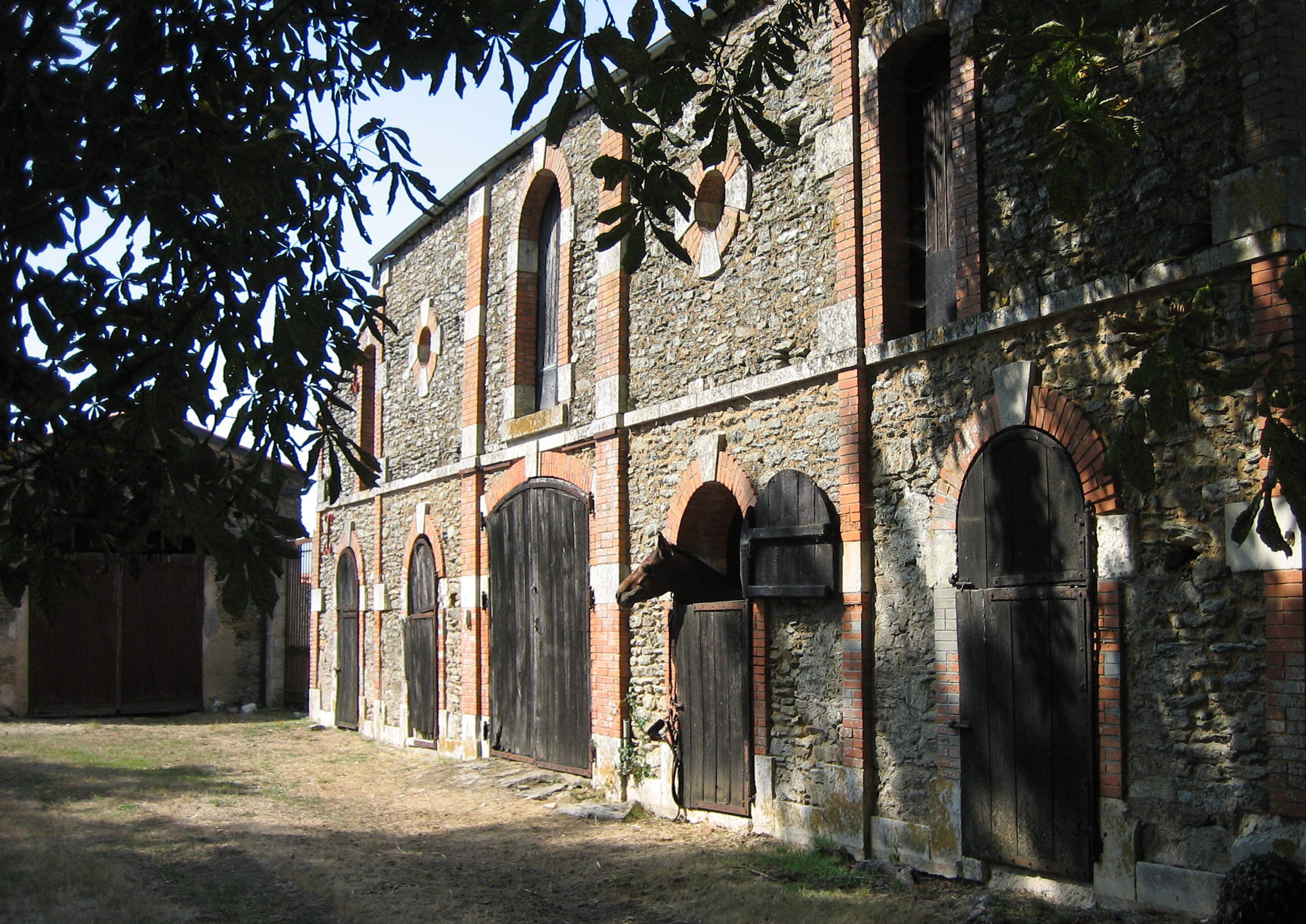 - image: 21