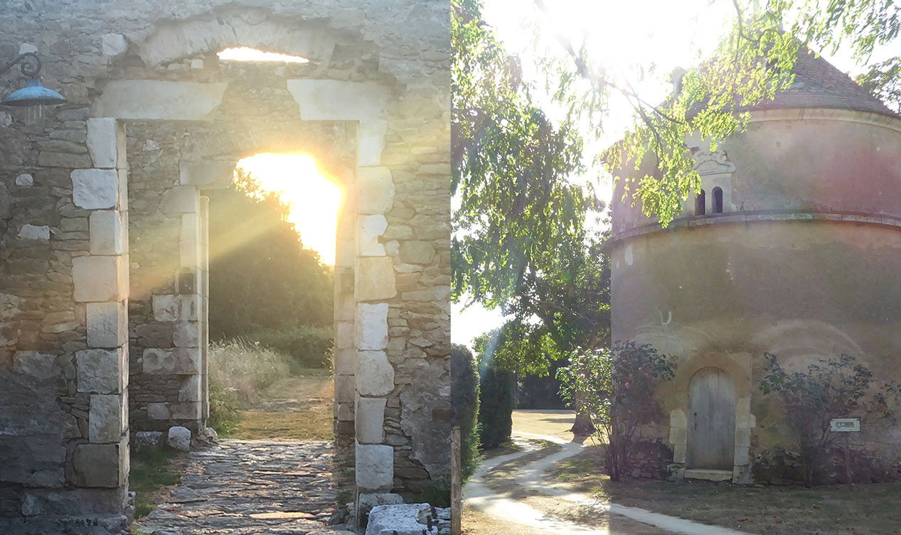 - image: 24