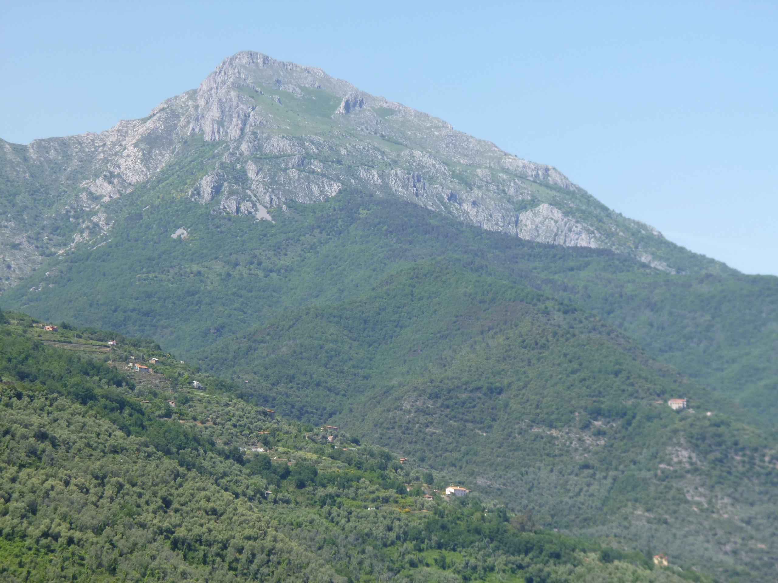 - image: 21