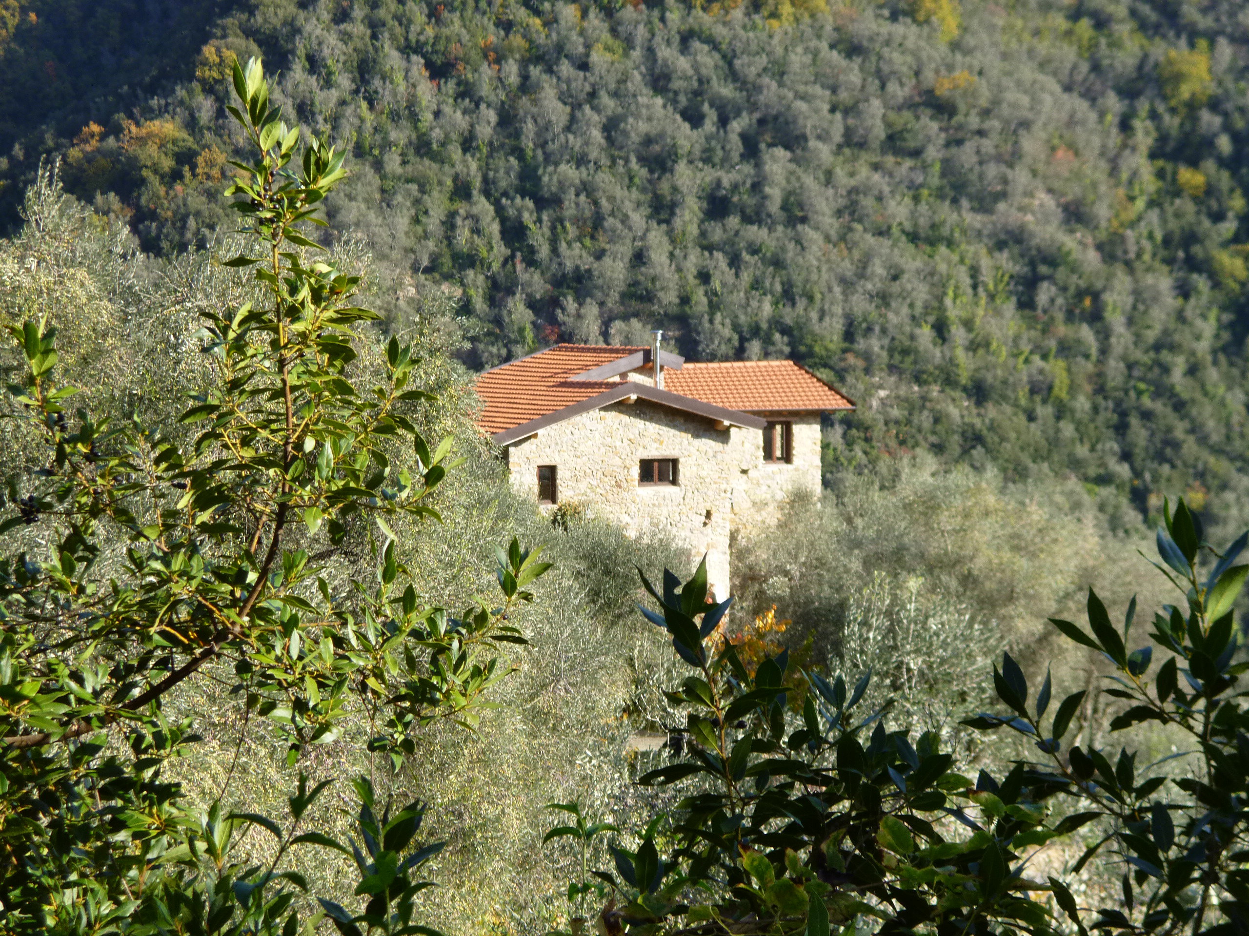 Maison nature à Pigna