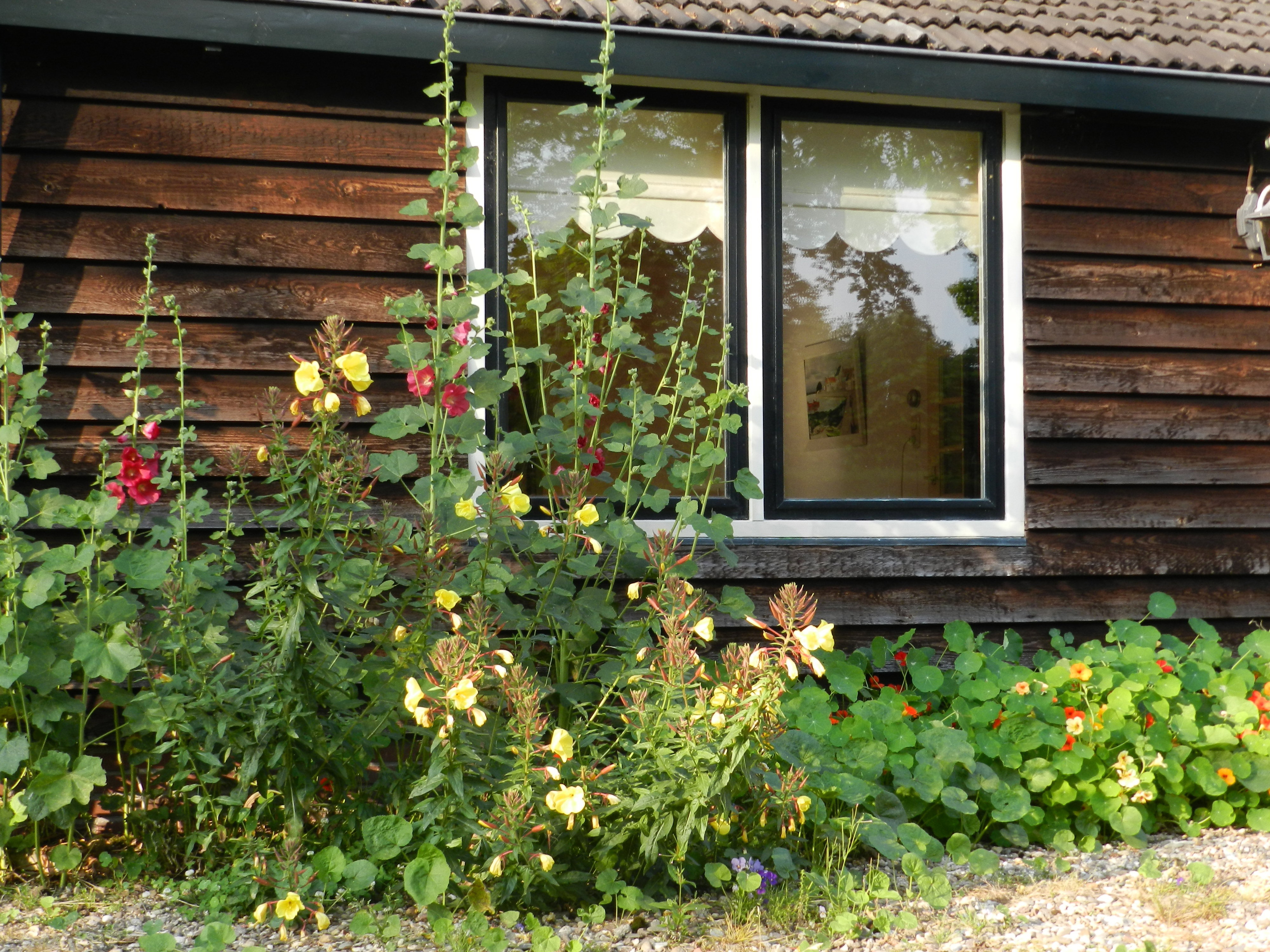 Naturhäuschen in Boschoord