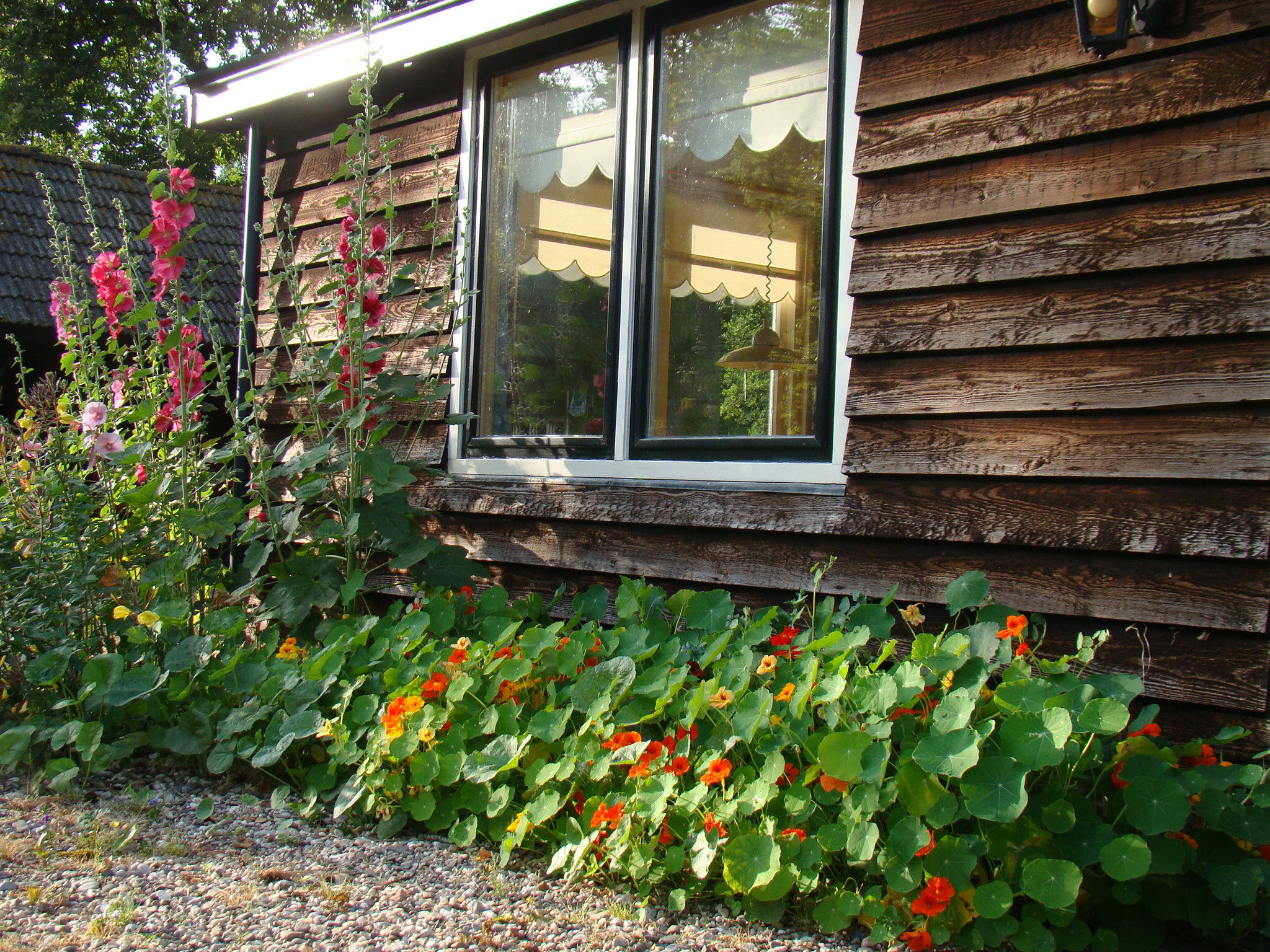 Naturhäuschen in Boschoord