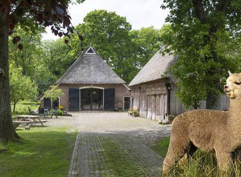 Naturhäuschen in Oosterhesselen