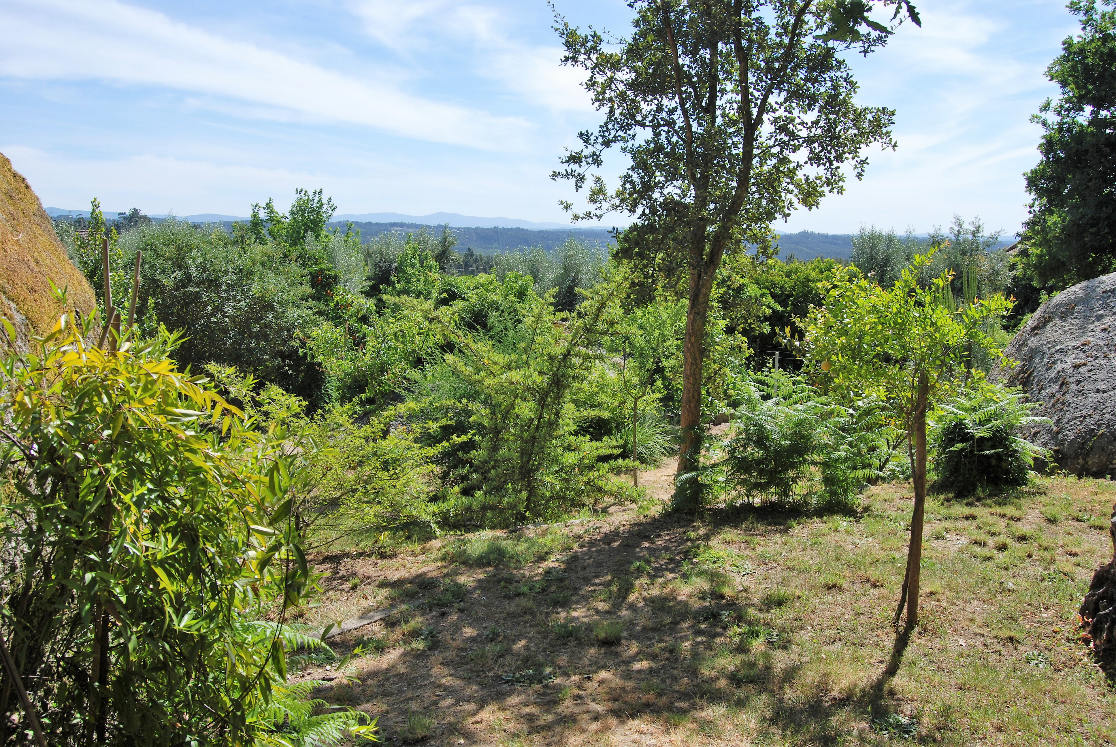 Casa nella natura a Povoa de Midoes      (Tabua)