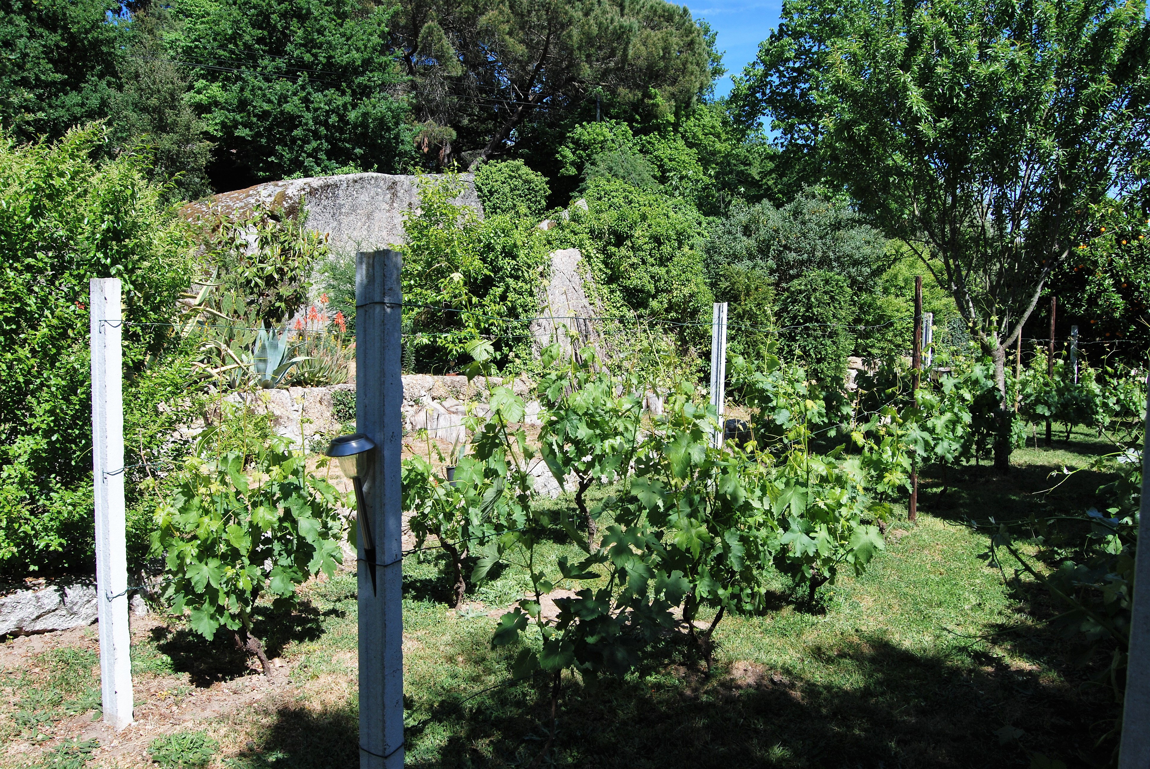 Casa nella natura a Povoa de Midoes      (Tabua)