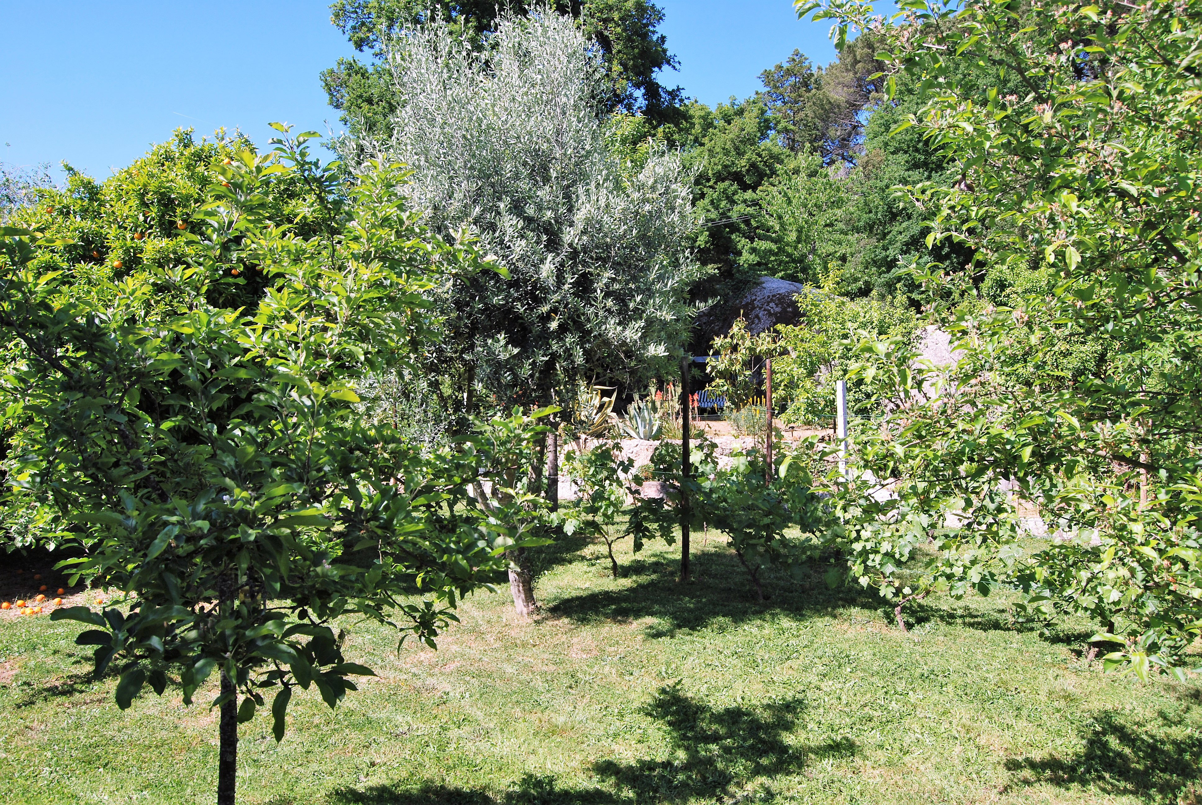 Casa nella natura a Povoa de Midoes      (Tabua)
