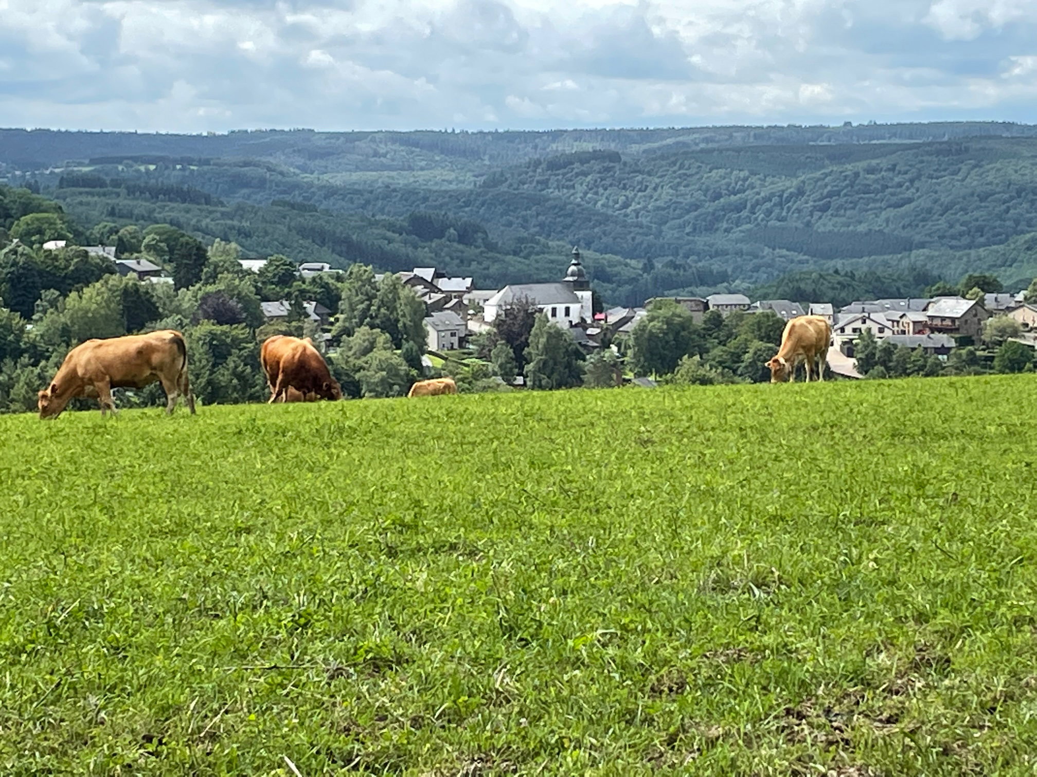 Natuurhuisje in Rochehaut