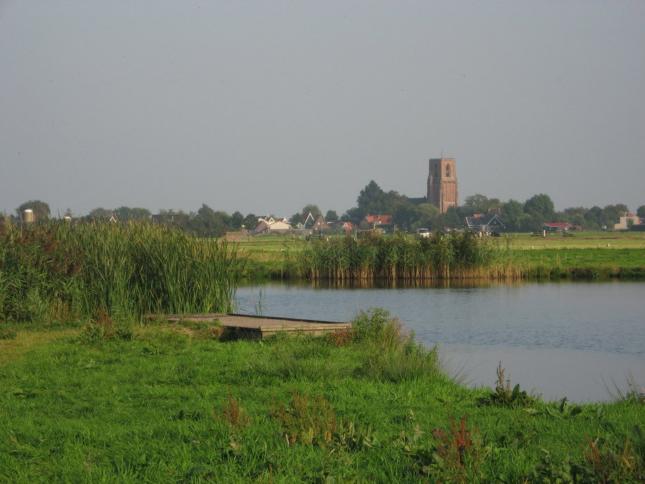 - image: 12