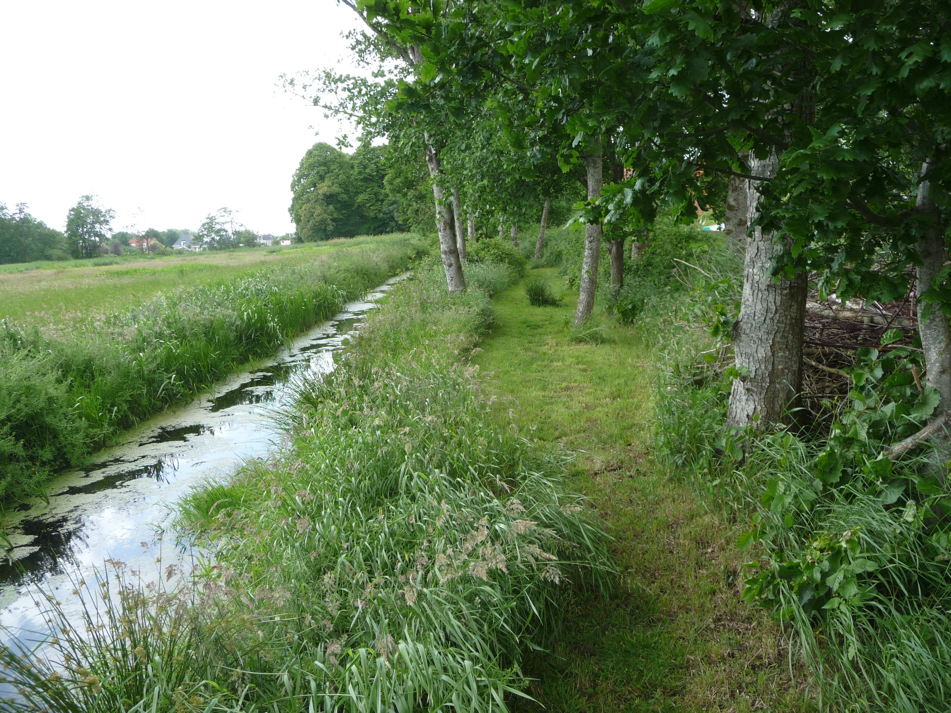 Maison nature à Scherpenzeel