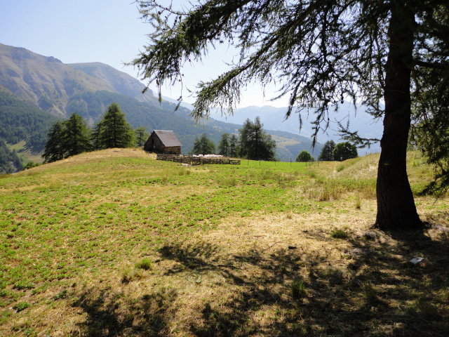 - image: 15
