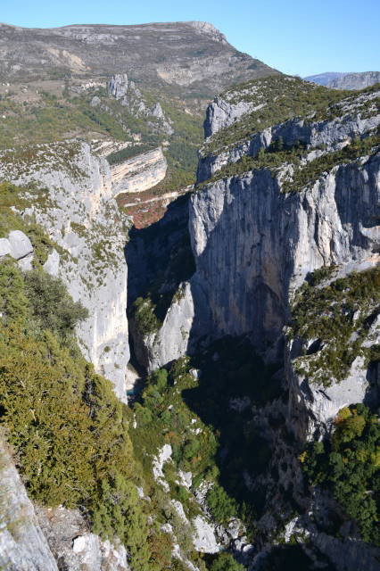 - image: 23
