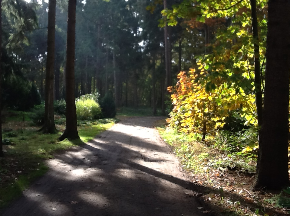 Naturhäuschen in Eeserveen