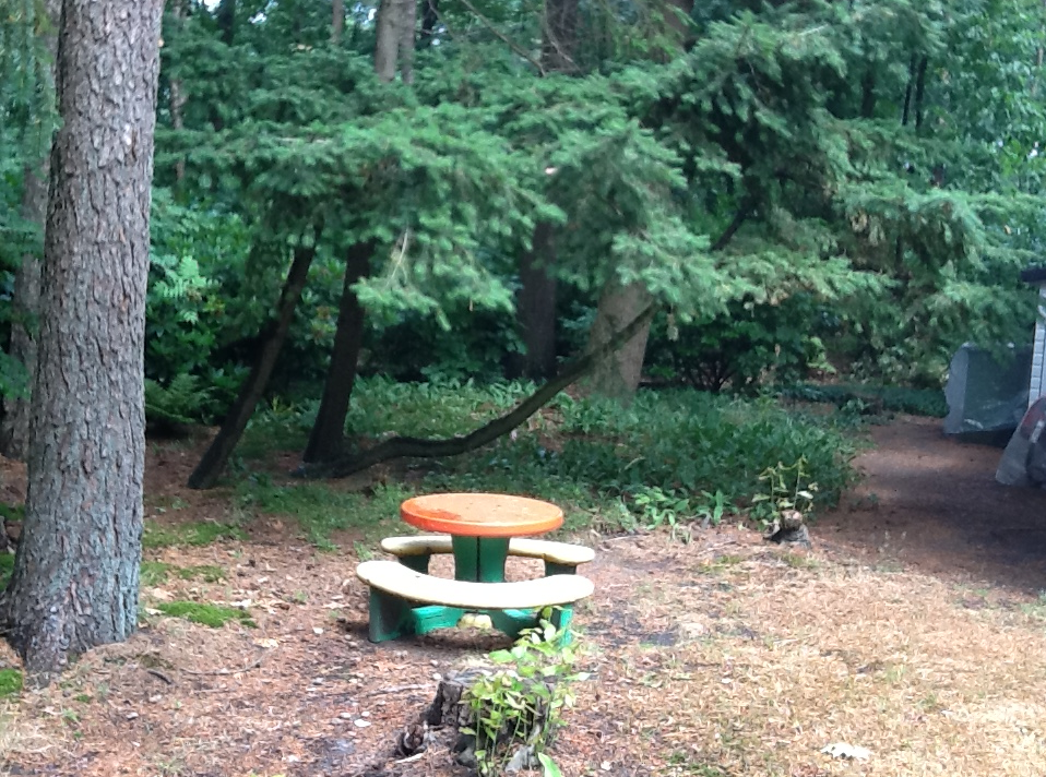 Naturhäuschen in Eeserveen