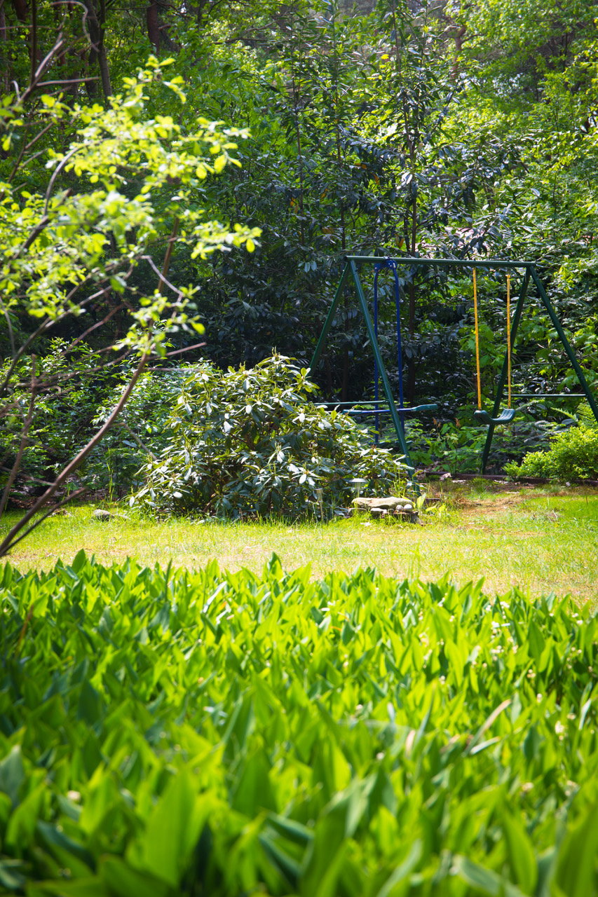 Naturhäuschen in Eeserveen