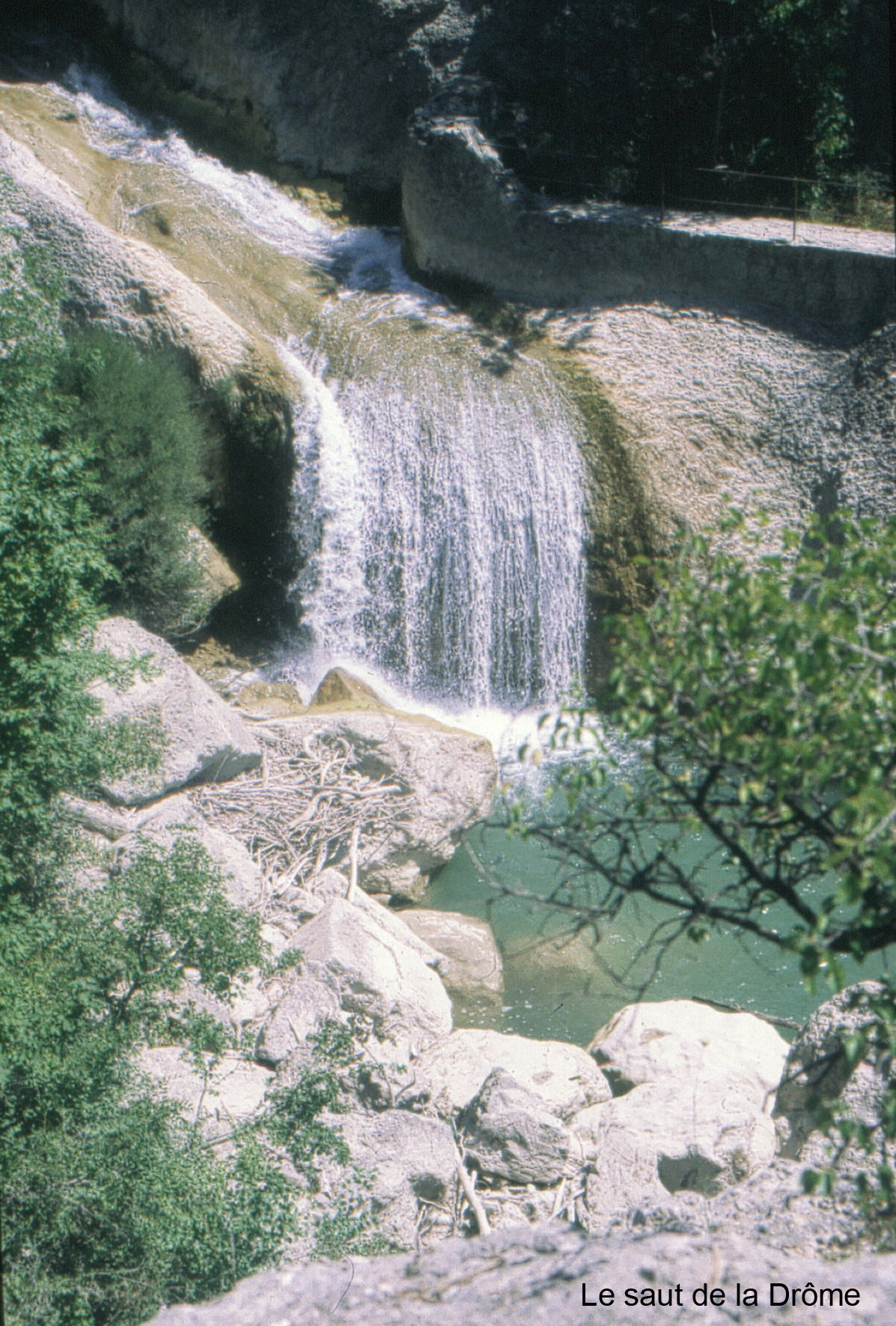 - image: 23