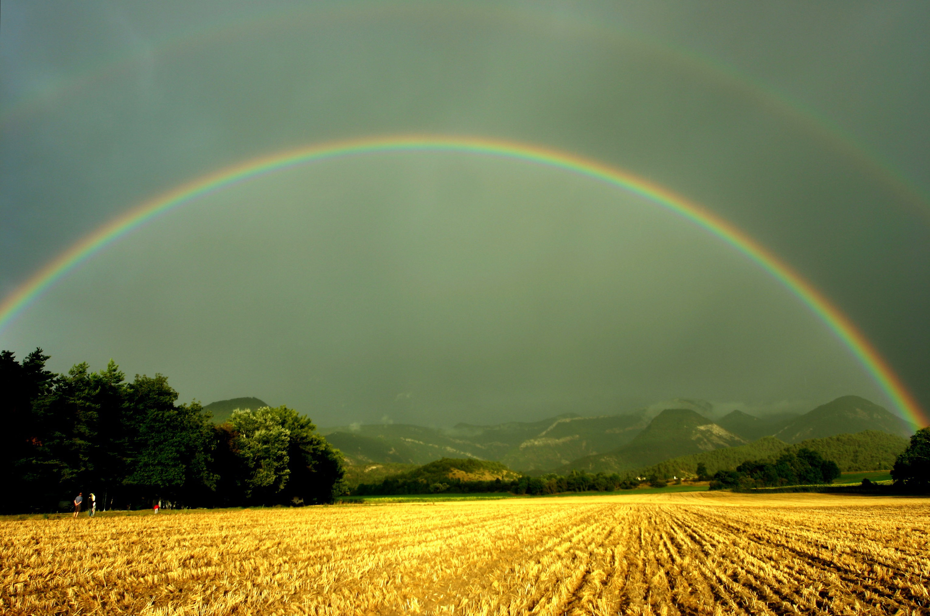 - image: 16