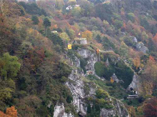 - image: 42