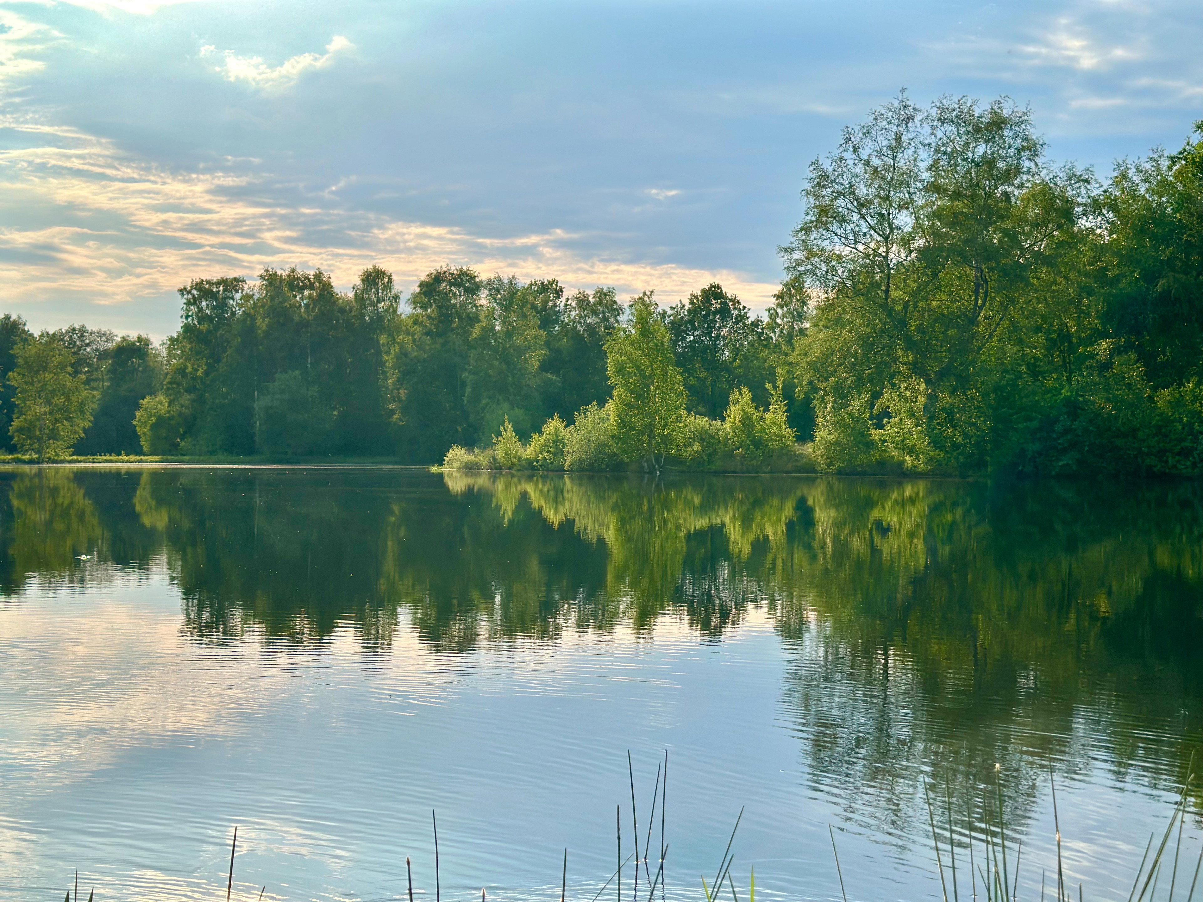 Naturhäuschen in Pesse