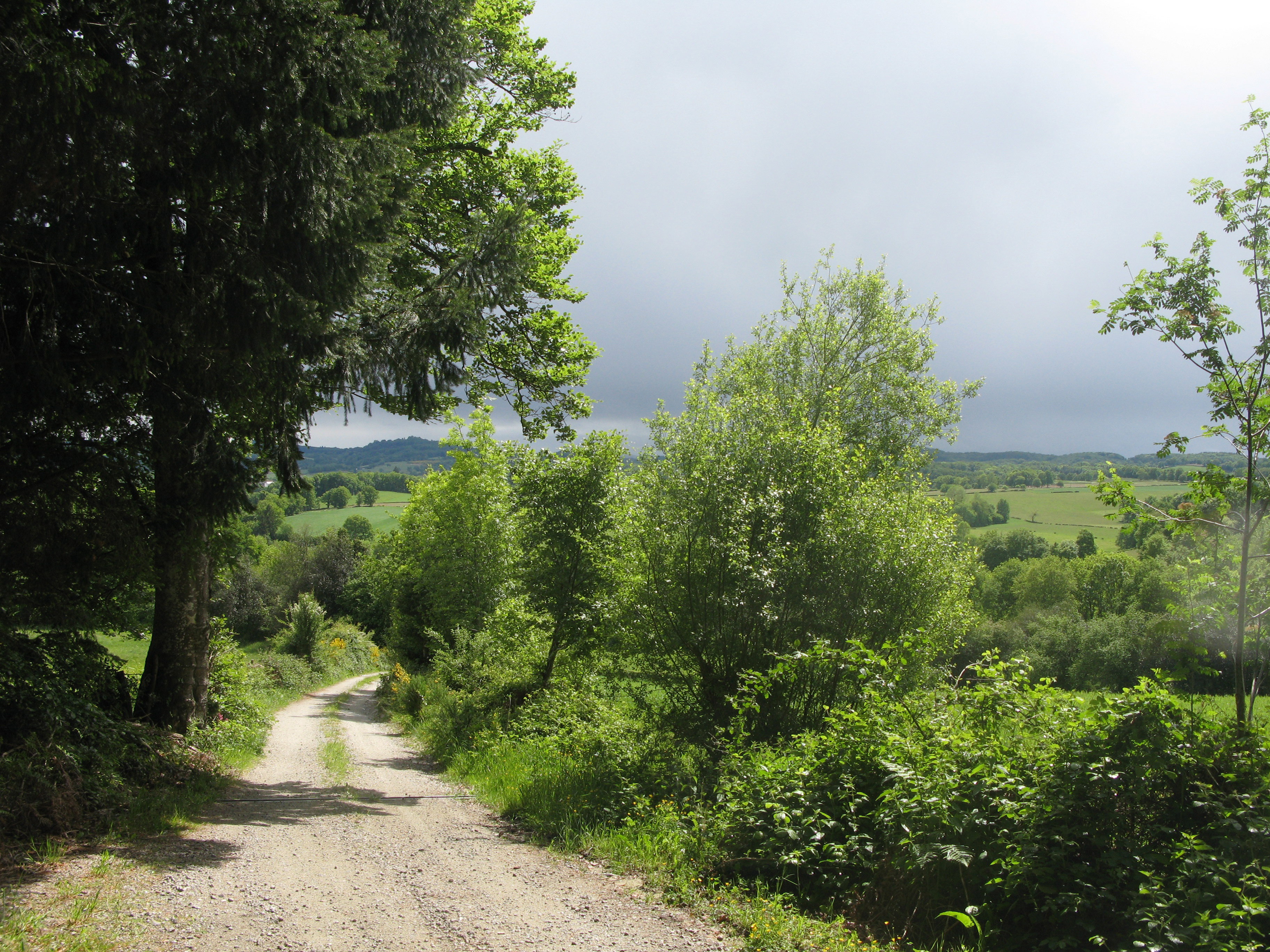 - image: 13